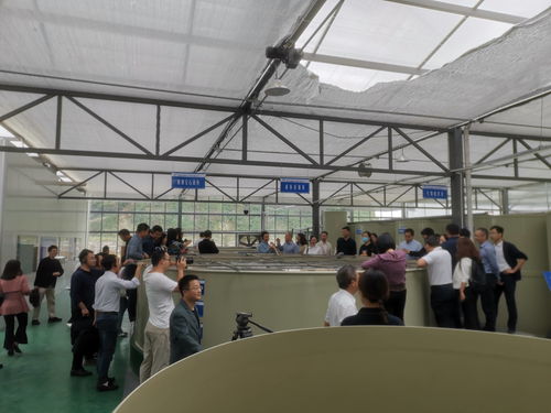 浙江省委黨校中青年干部培訓班學員赴德清百源康魚菜工廠考察交流